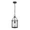Z-Lite Barrington Pendant, 1-Light, 8.25 In.W x 17.5 In.H, Matte Black/Clear Waterglass 346P8-MB - alternate 7